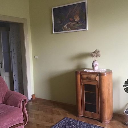 Historical Center Apartment Uzhhorod Bagian luar foto