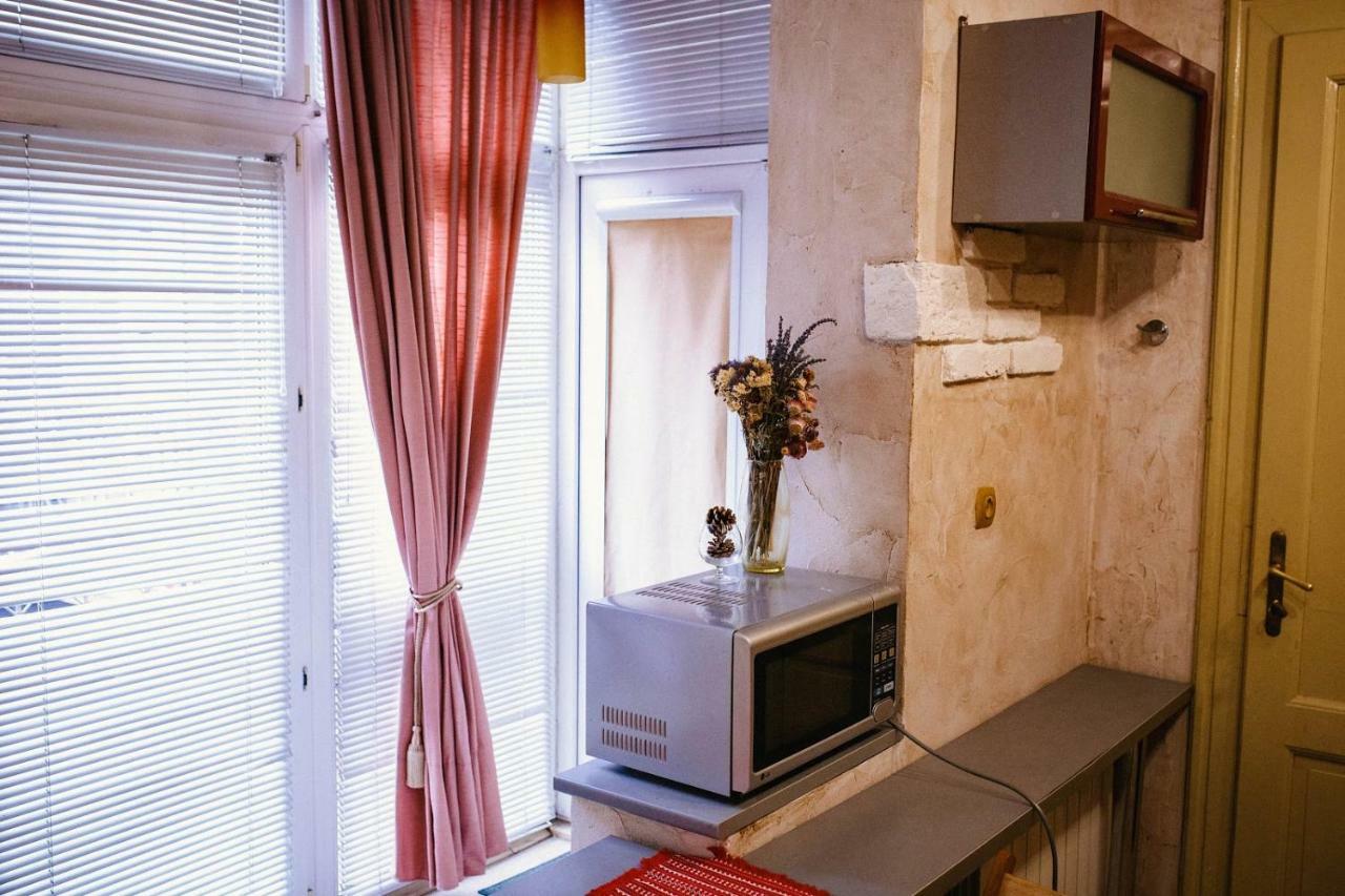 Historical Center Apartment Uzhhorod Bagian luar foto